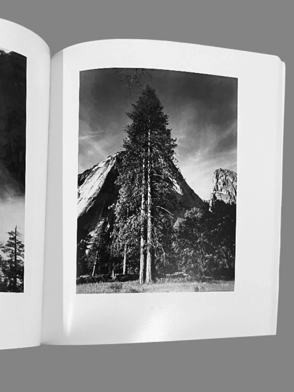 N/A portfolios ansel